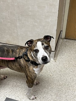 A drop-in visit for baby