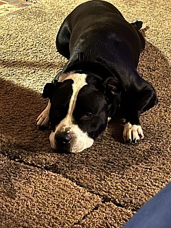 One of my boarding for babies