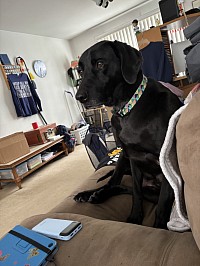 I'm boarding for baby