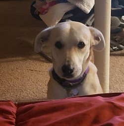 One of the first boarders I ever had