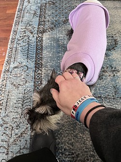 Me petting this cutie pie